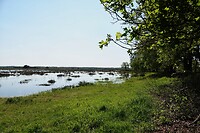 DSC02104-01