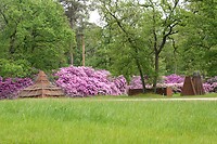 DSC02182-01