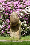 DSC02189-01