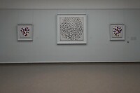 DSC02230-01