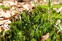 DSC02255-02