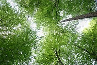 DSC02258-01