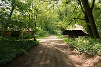 DSC02285-01