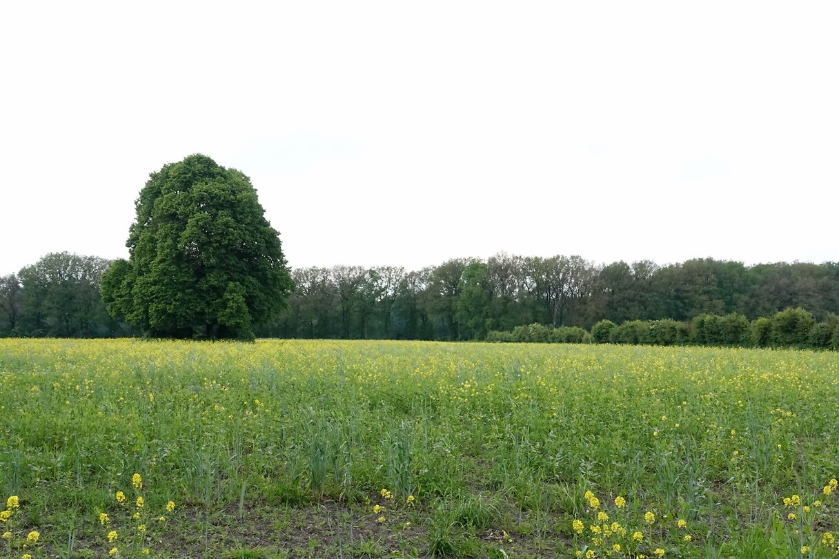 DSC02289-01