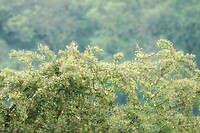DSC02298_1-01