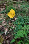 DSC02323-01