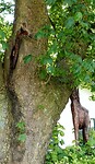 DSC02329-01