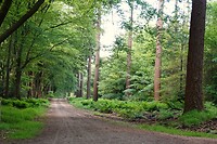 DSC02344-01