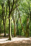 DSC02356-01
