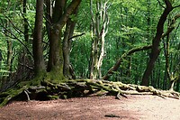 DSC02359-01