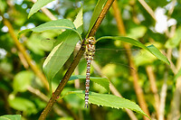 DSC03072rw