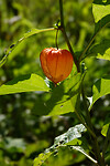 DSC03280rw