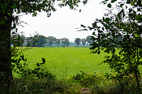 DSC03178rw