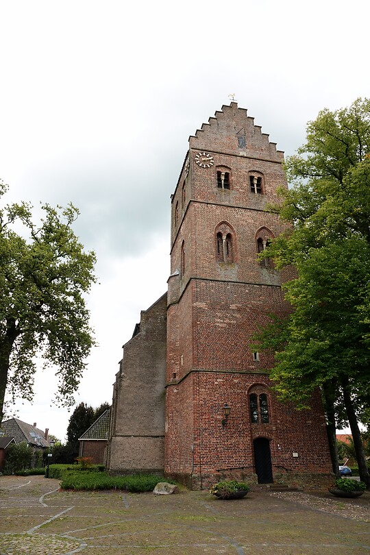 DSC03406-01