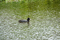 DSC03403rw