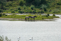 DSC03516rw