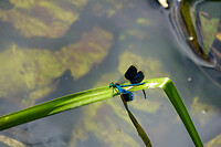 1725049781160_DSC03392rw