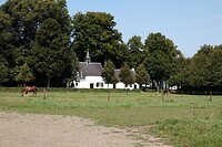 DSC03682-01