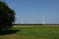 DSC03525