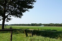 DSC03531