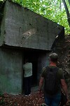 DSC03536