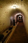 DSC03546