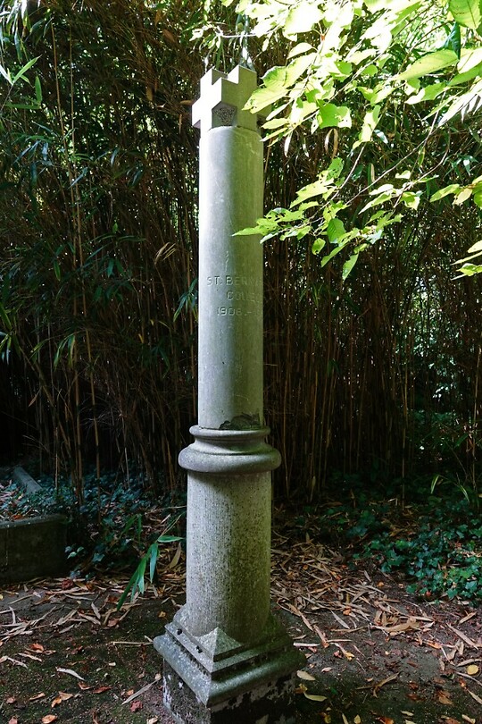 DSC03560