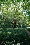 DSC03561