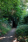DSC03566