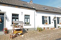 DSC03654