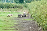 DSC03840