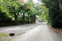 DSC03847