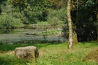 DSC03940