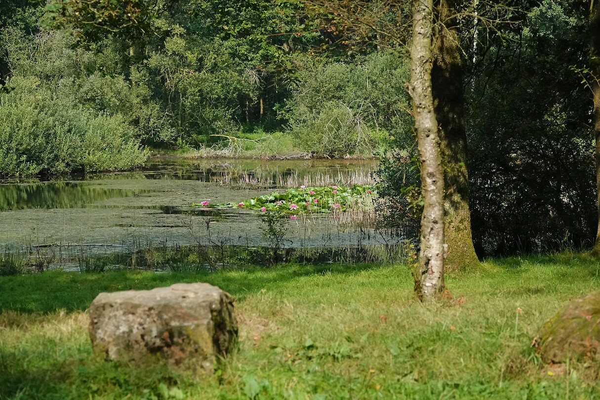 DSC03940