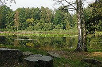 DSC03941