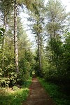 DSC03942