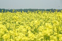 DSC03948