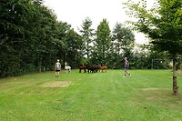 DSC03877