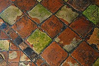 DSC03991
