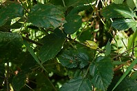 DSC04039