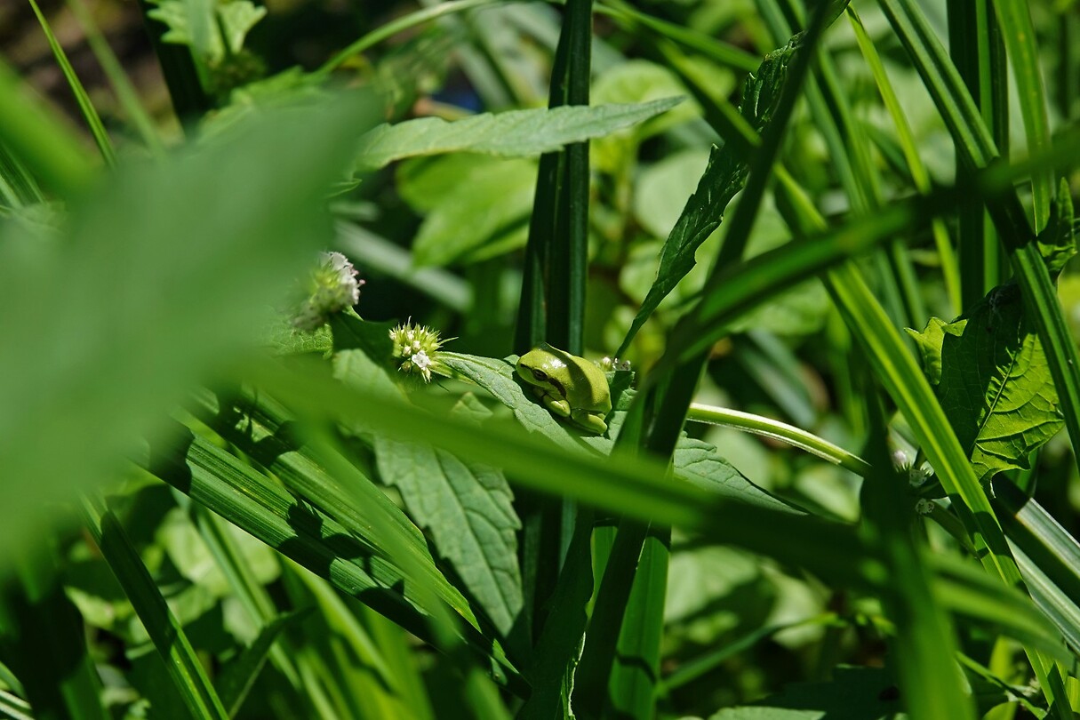 DSC04047