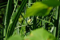 DSC04055