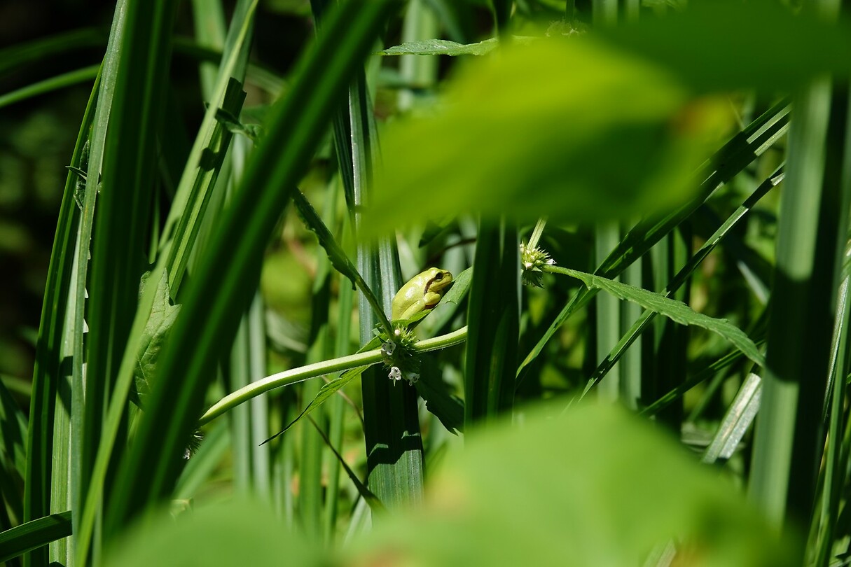 DSC04055