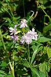 DSC04064