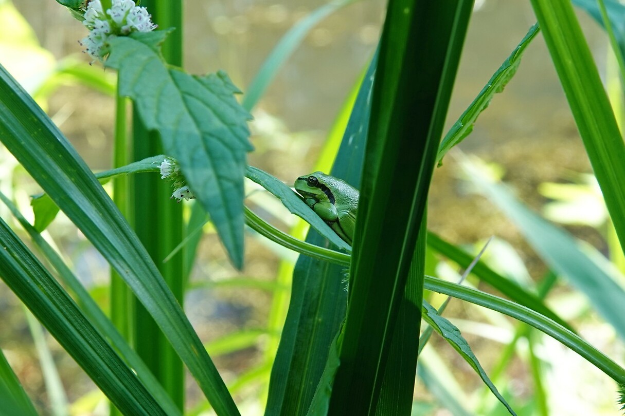 DSC04073