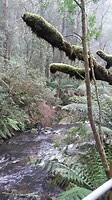 20161112_110616