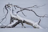 DSC05906-01