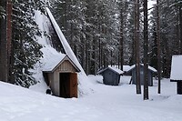 DSC05922-01