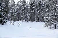 DSC05924-01