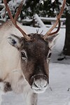 DSC05971-01
